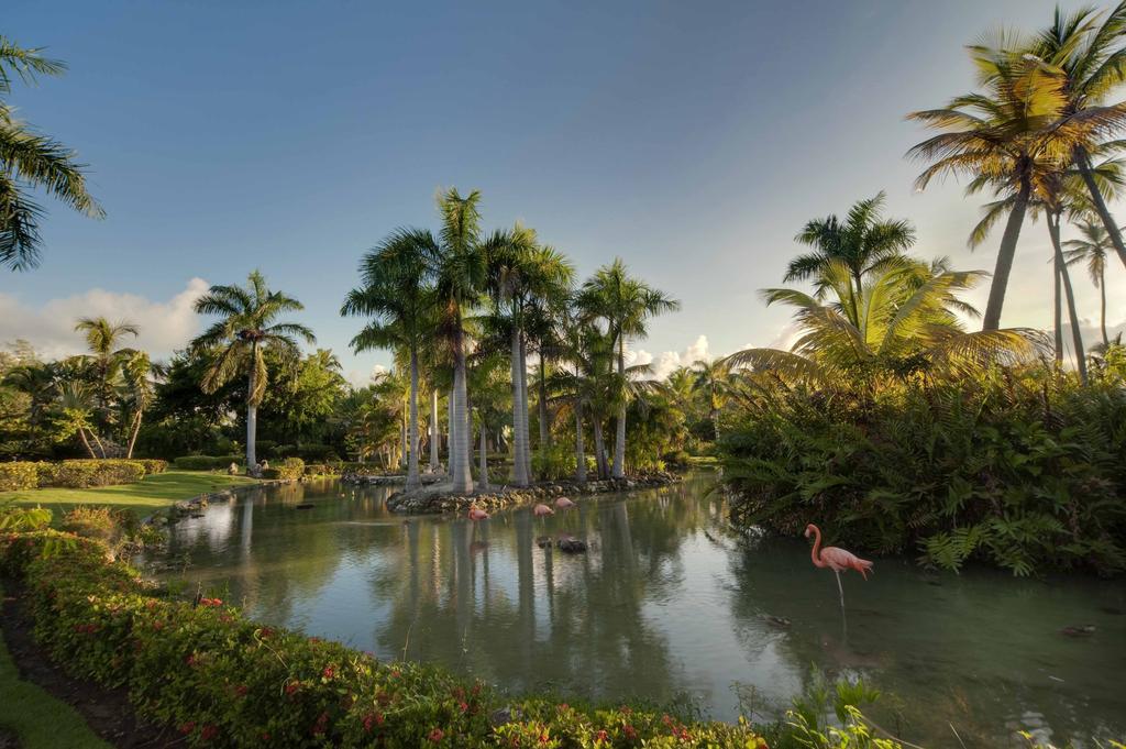Resort Melia Caribe Tropical (adults Only) 5*