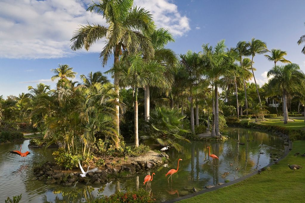 Resort Melia Caribe Tropical (adults Only) Punta Cana